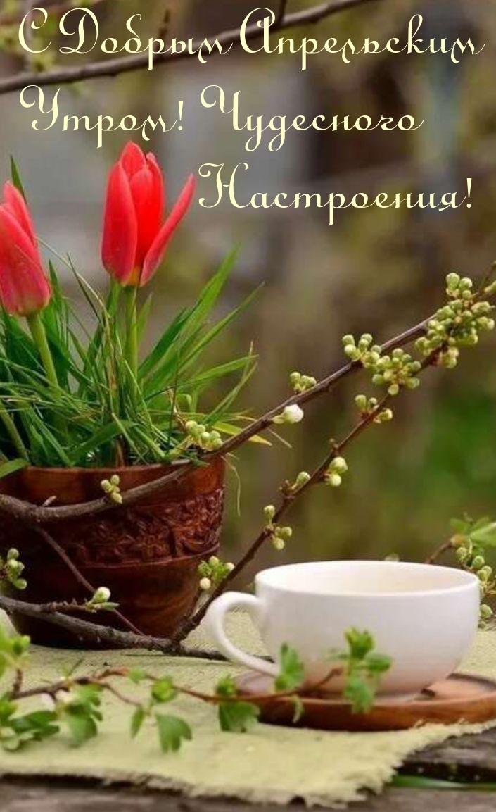 С Добрым Апрельским Утром! Чудесного Настроения!