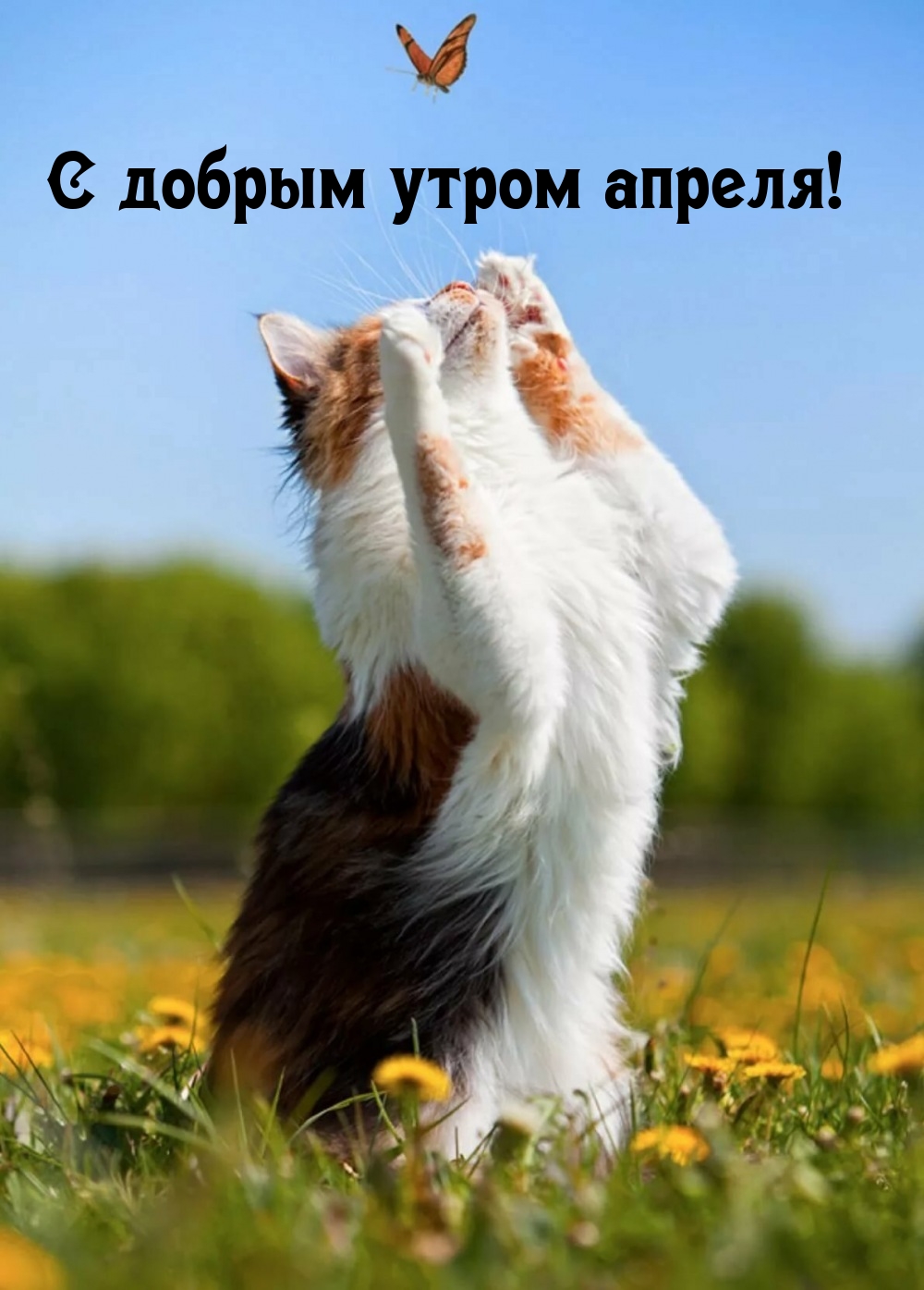 С добрым утром апреля!