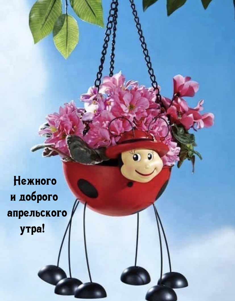 Нежного и доброго апрельского утра!