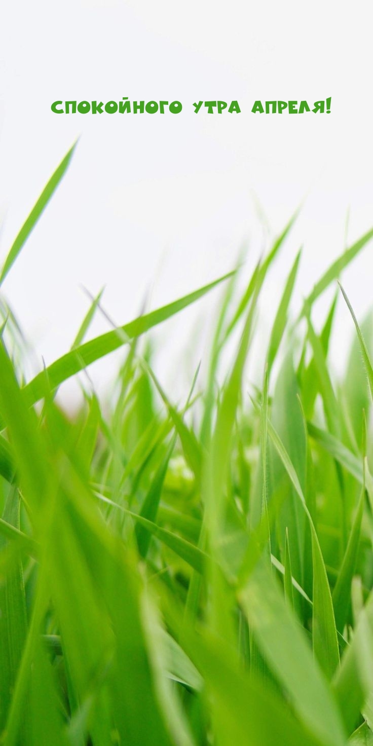 Спокойного утра апреля!
