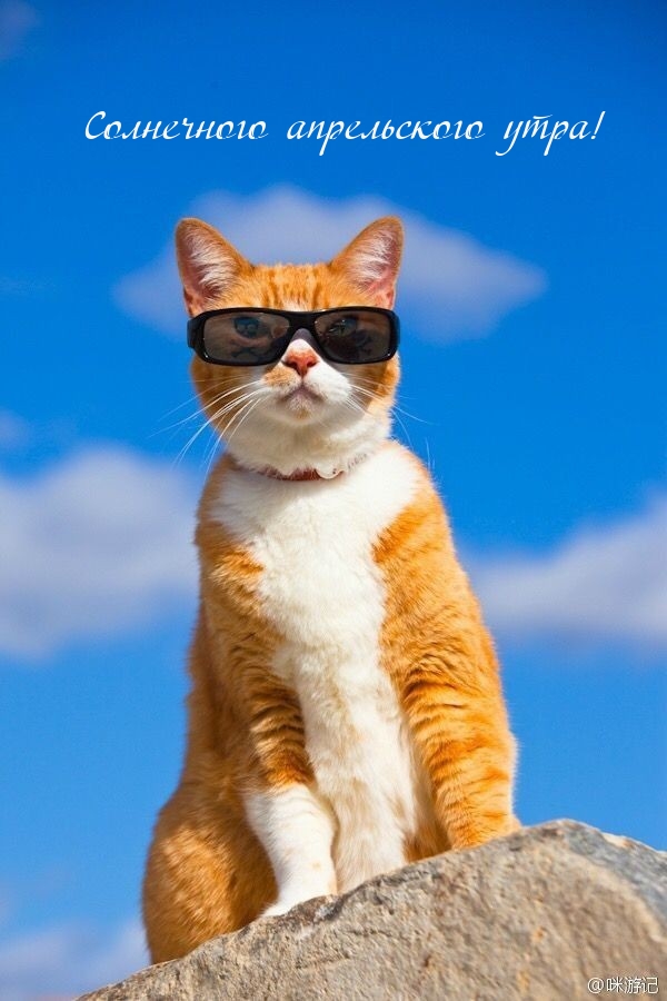 Солнечного апрельского утра!