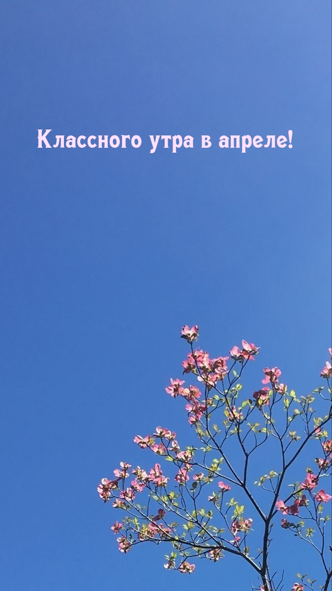 Классного утра в апреле!