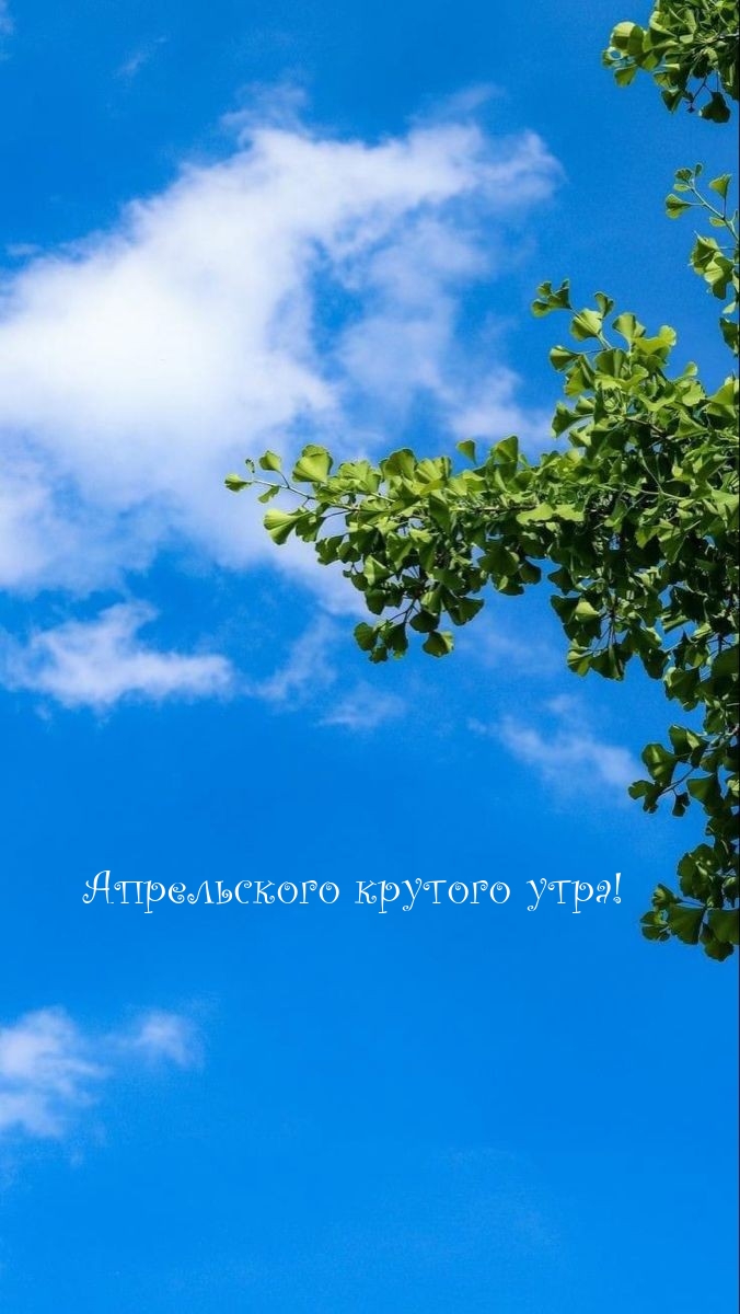 Апрельского крутого утра!
