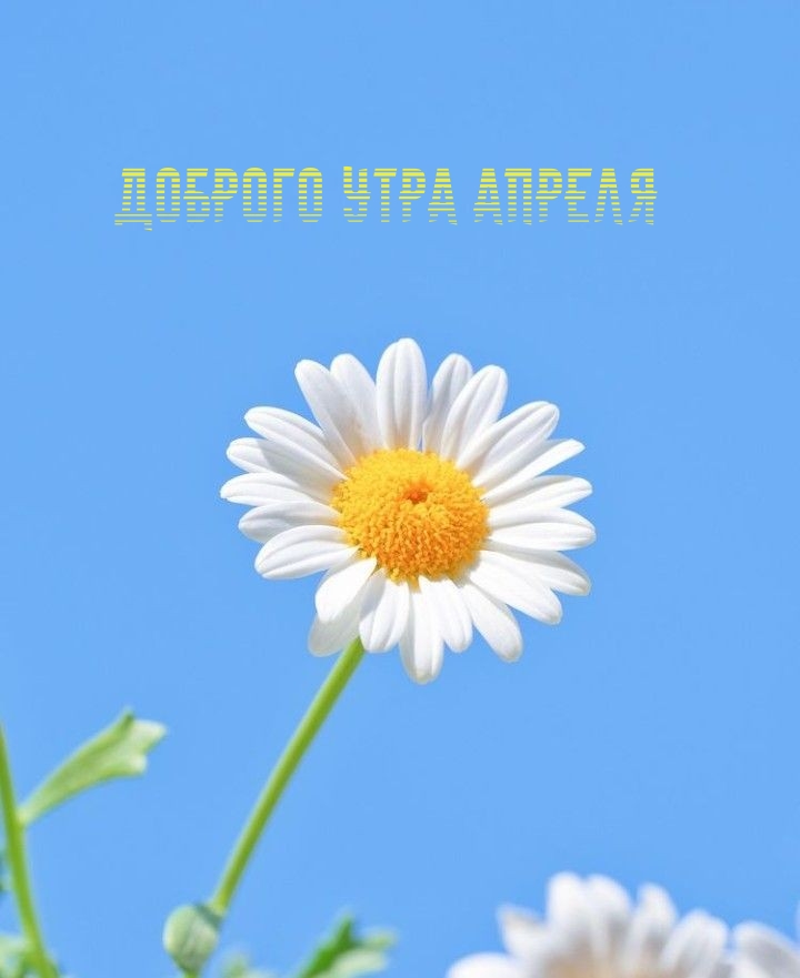Доброго утра апреля