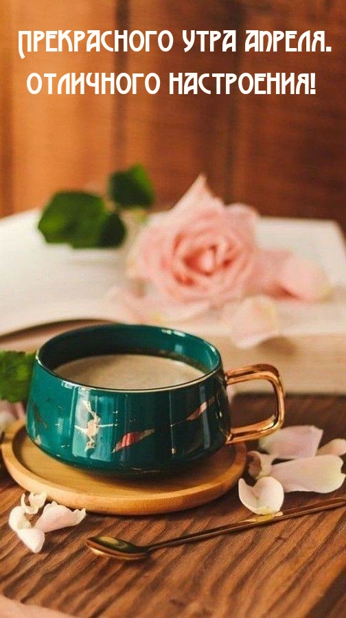 Прекрасного утра апреля. Отличного настроения! 