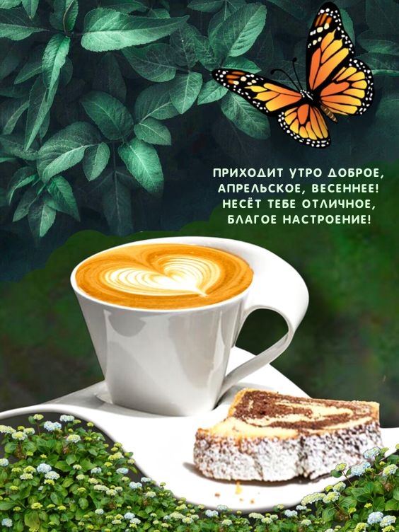 Приходит утро доброе, апрельское, весеннее!