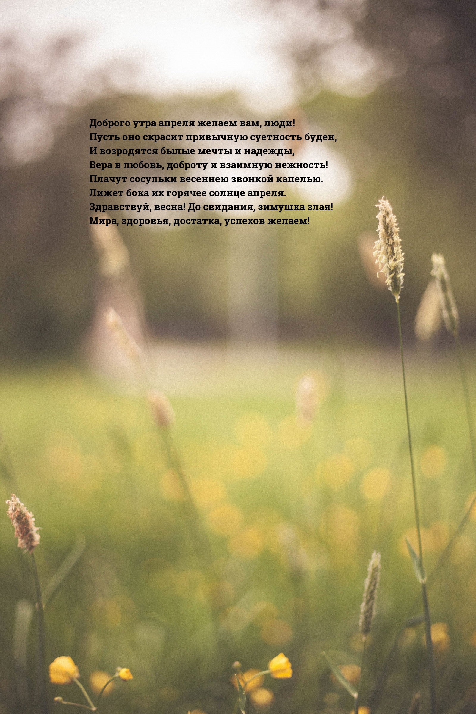 Доброго утра апреля желаем вам, люди!