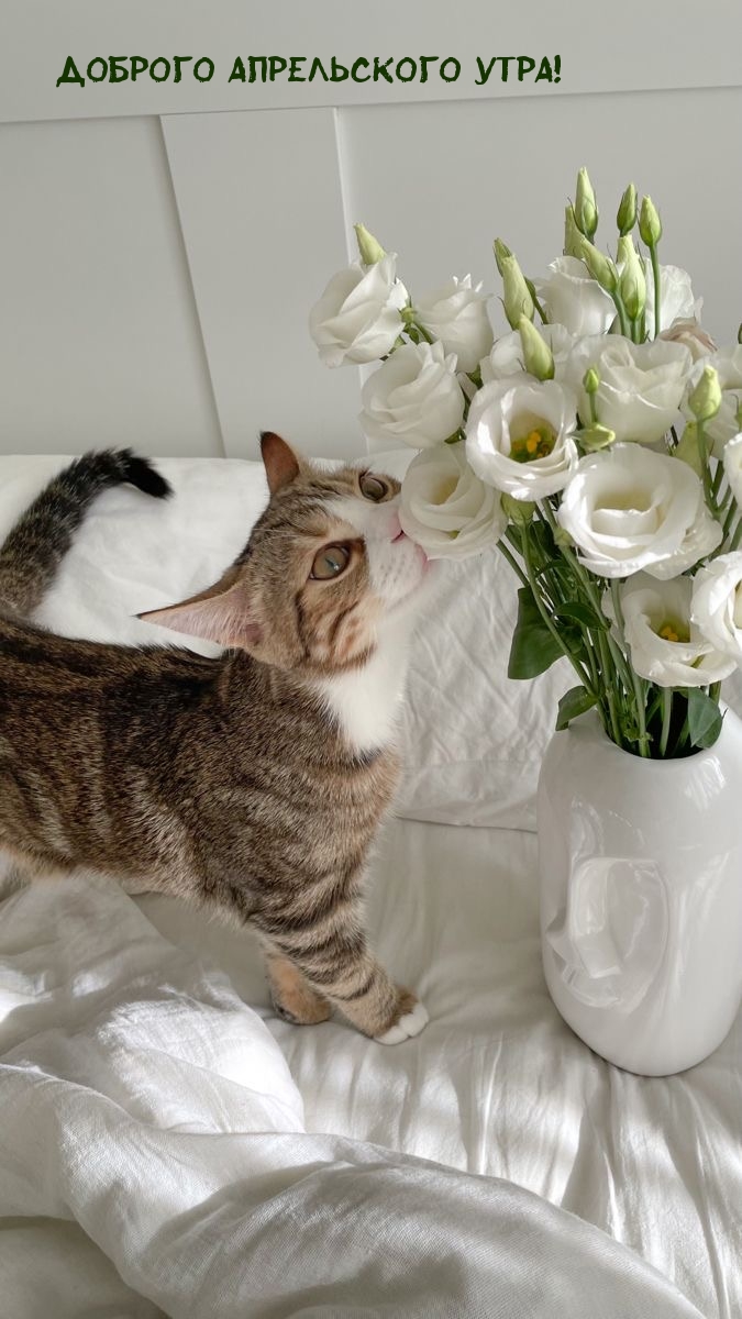 Доброго апрельского утра!