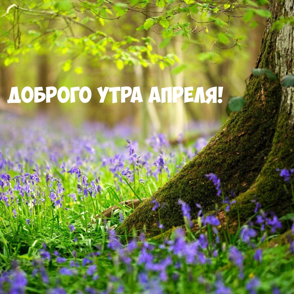 Доброго утра апреля!