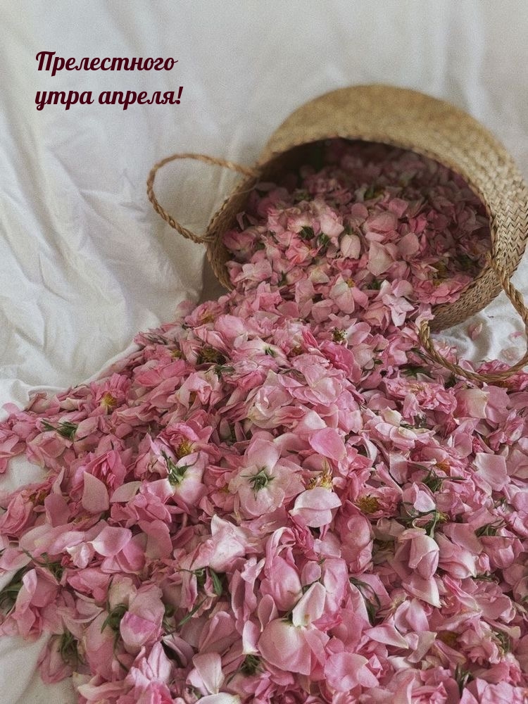 Прелестного утра апреля!