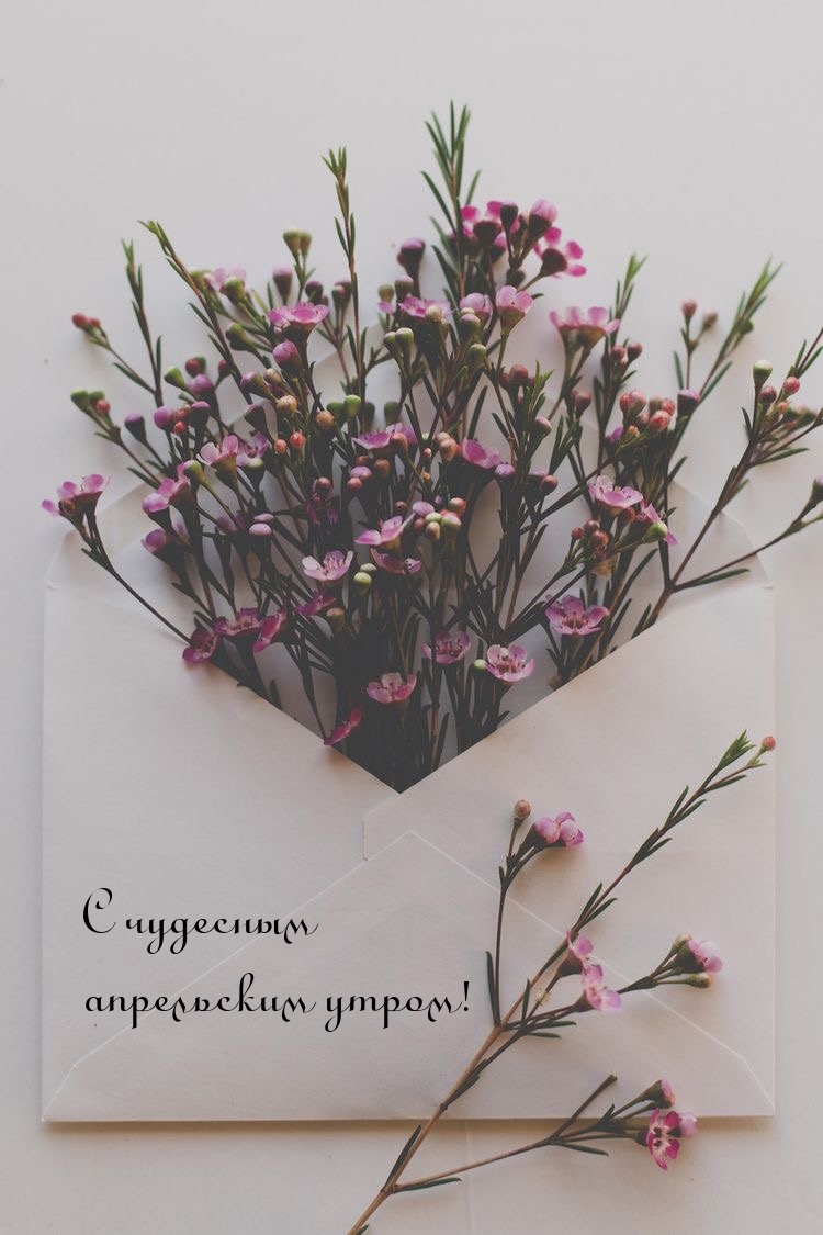 С чудесным апрельским утром!