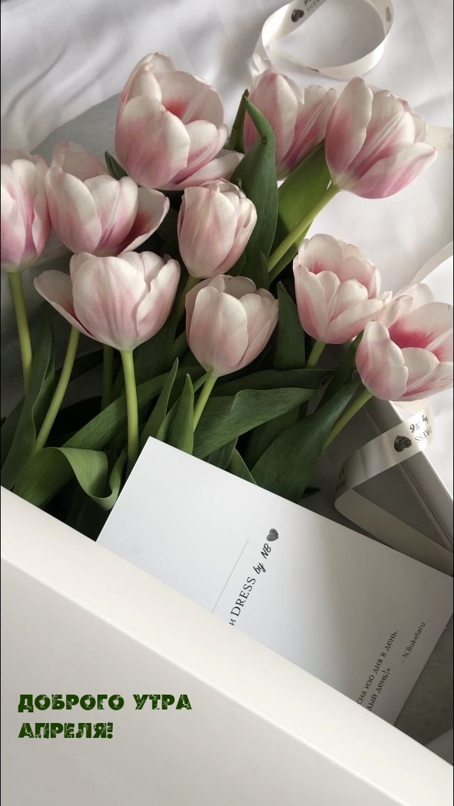 Доброго утра апреля!