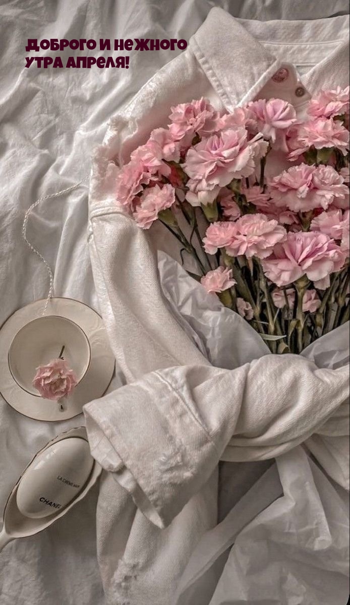 Доброго и нежного утра апреля!