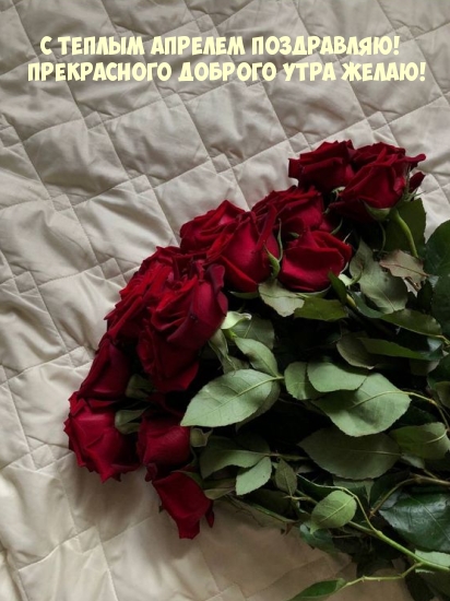 С теплым апрелем поздравляю! Прекрасного доброго утра желаю!