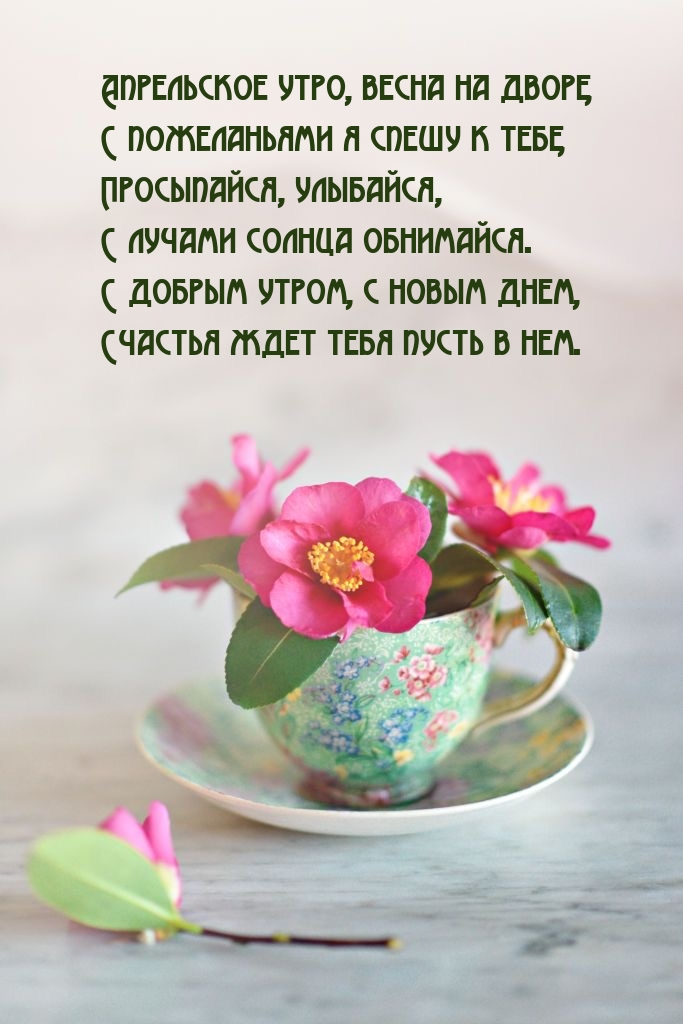 Апрельское утро, весна на дворе, с пожеланьями я спешу к тебе