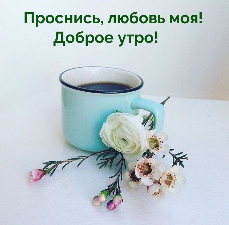 Проснись, любовь моя! Доброе утро! 