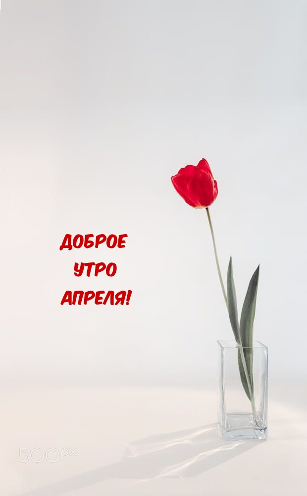 Доброе Утро Апреля!