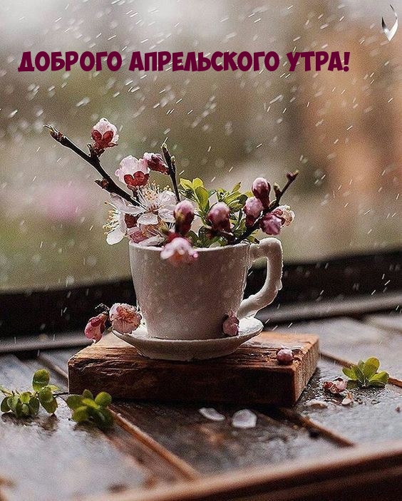 Доброго апрельского утра!