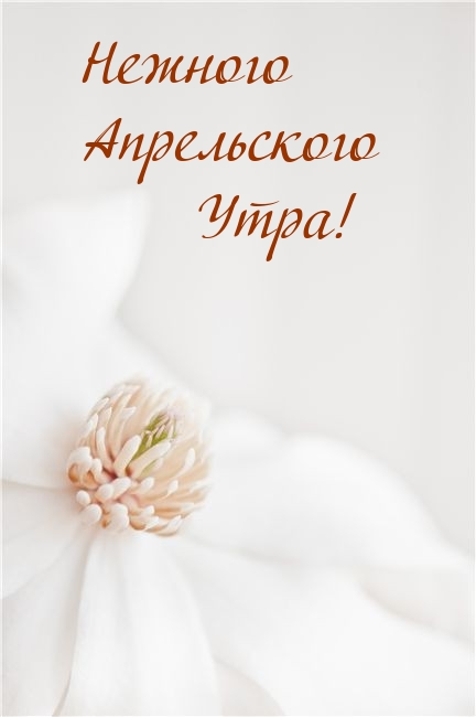 Нежного Апрельского Утра!