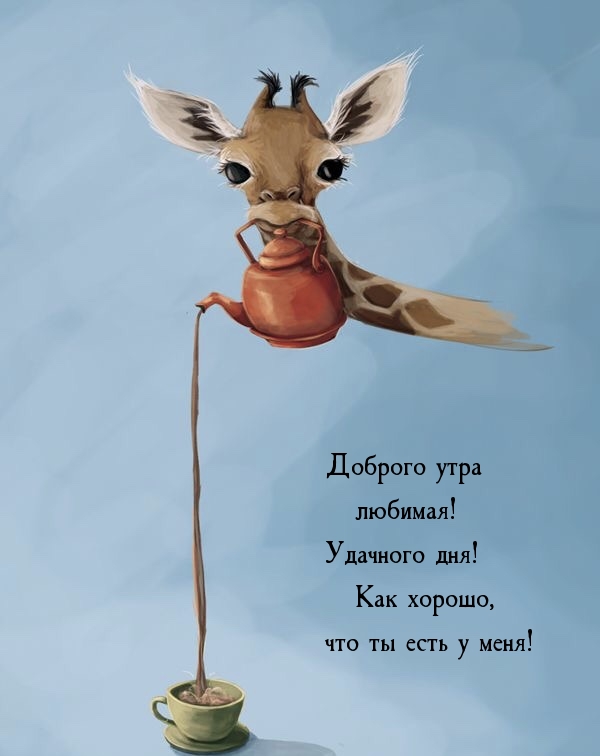 Доброго утра любимая! Удачного дня! Как хорошо, что ты есть у меня! 