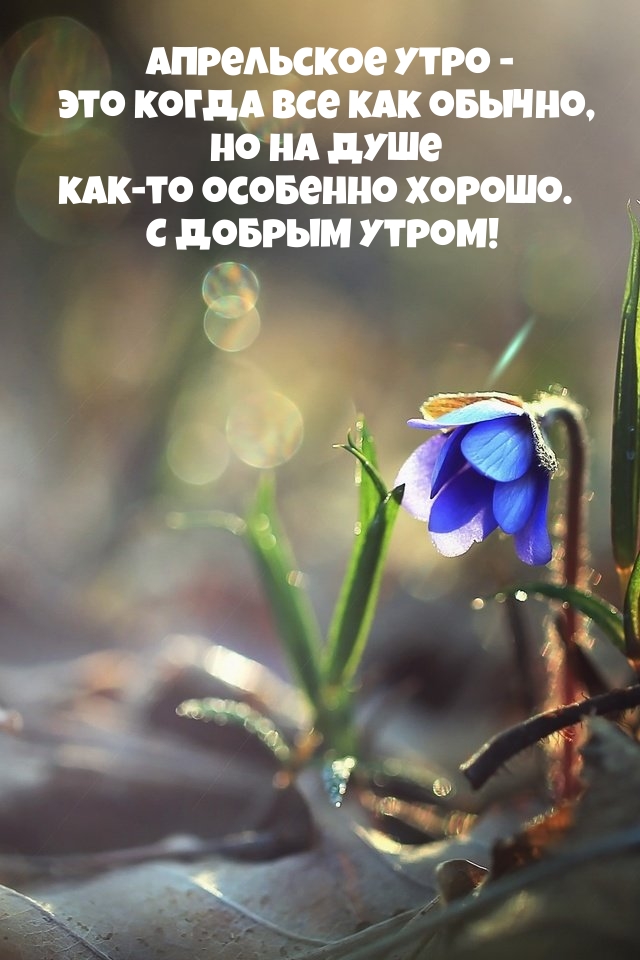 Апрельское утро - это когда все как обычно