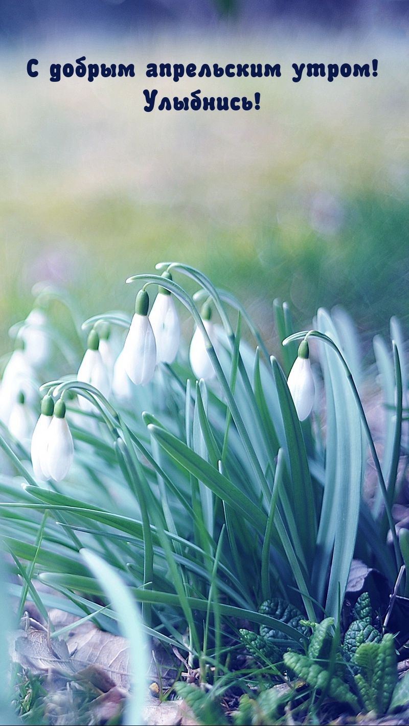 С добрым апрельским утром! Улыбнись!