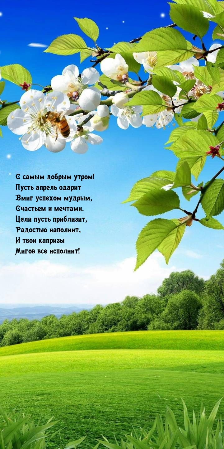 С самым добрым утром! Пусть апрель одарит вмиг успехом мудрым