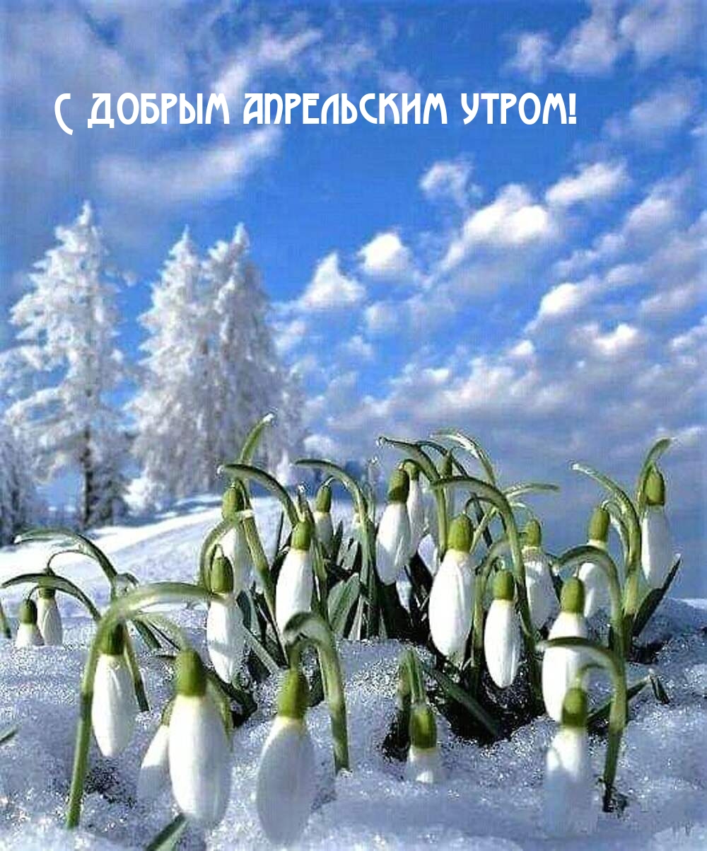 С добрым апрельским утром!