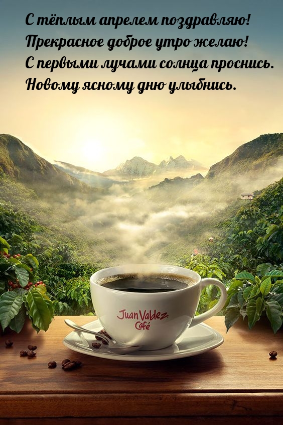 С тёплым апрелем поздравляю! Прекрасное доброе утро желаю!