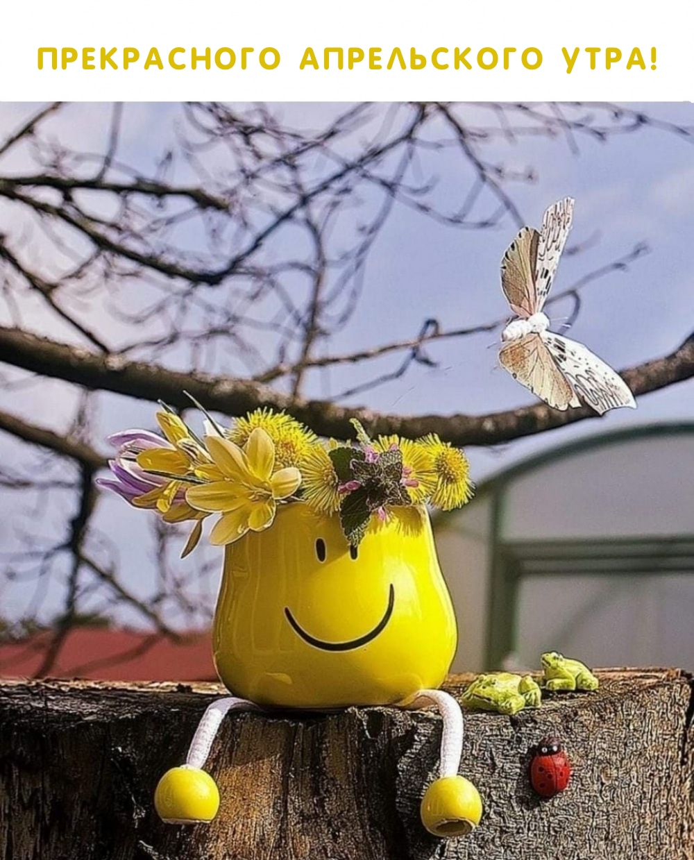 Прекрасного апрельского утра!