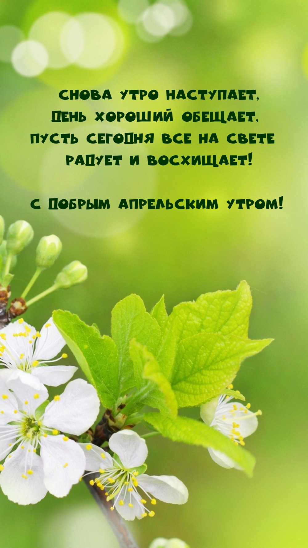 С добрым апрельским утром! Пусть сегодня все на свете радует 