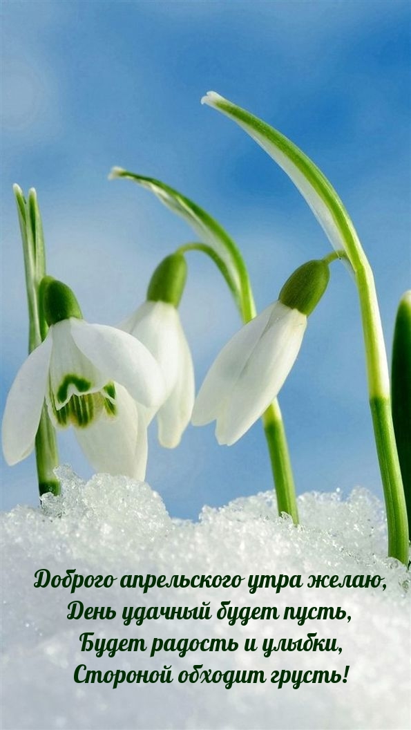 Доброго апрельского утра желаю, день удачный будет пусть