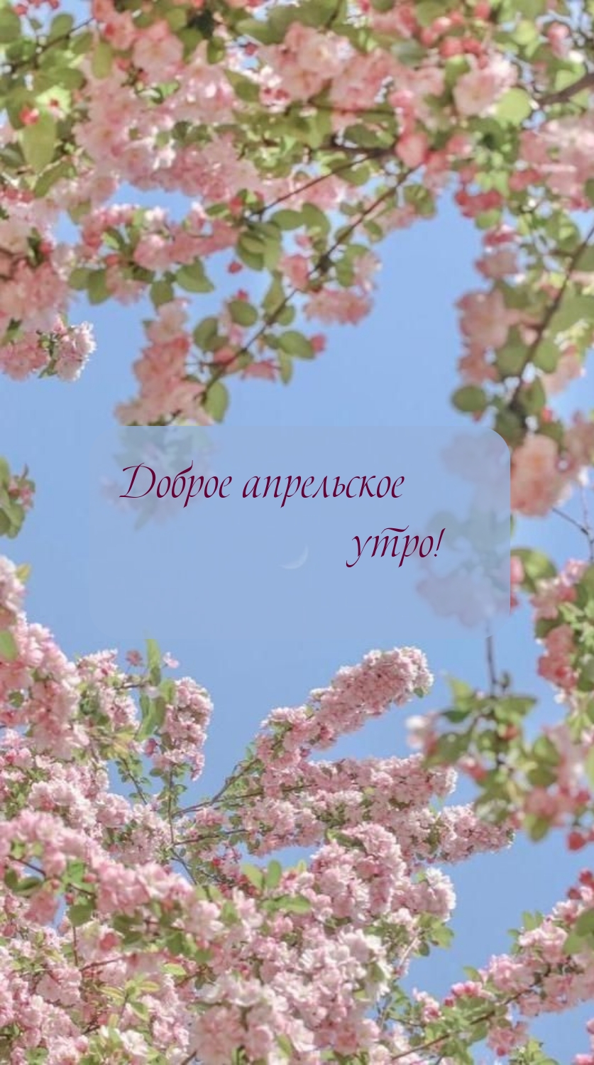 Доброе апрельское утро! 