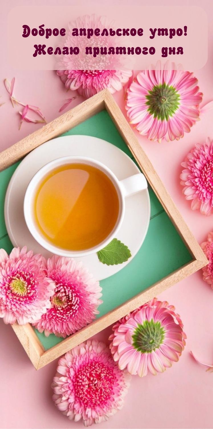 Доброе апрельское утро! Желаю приятного дня