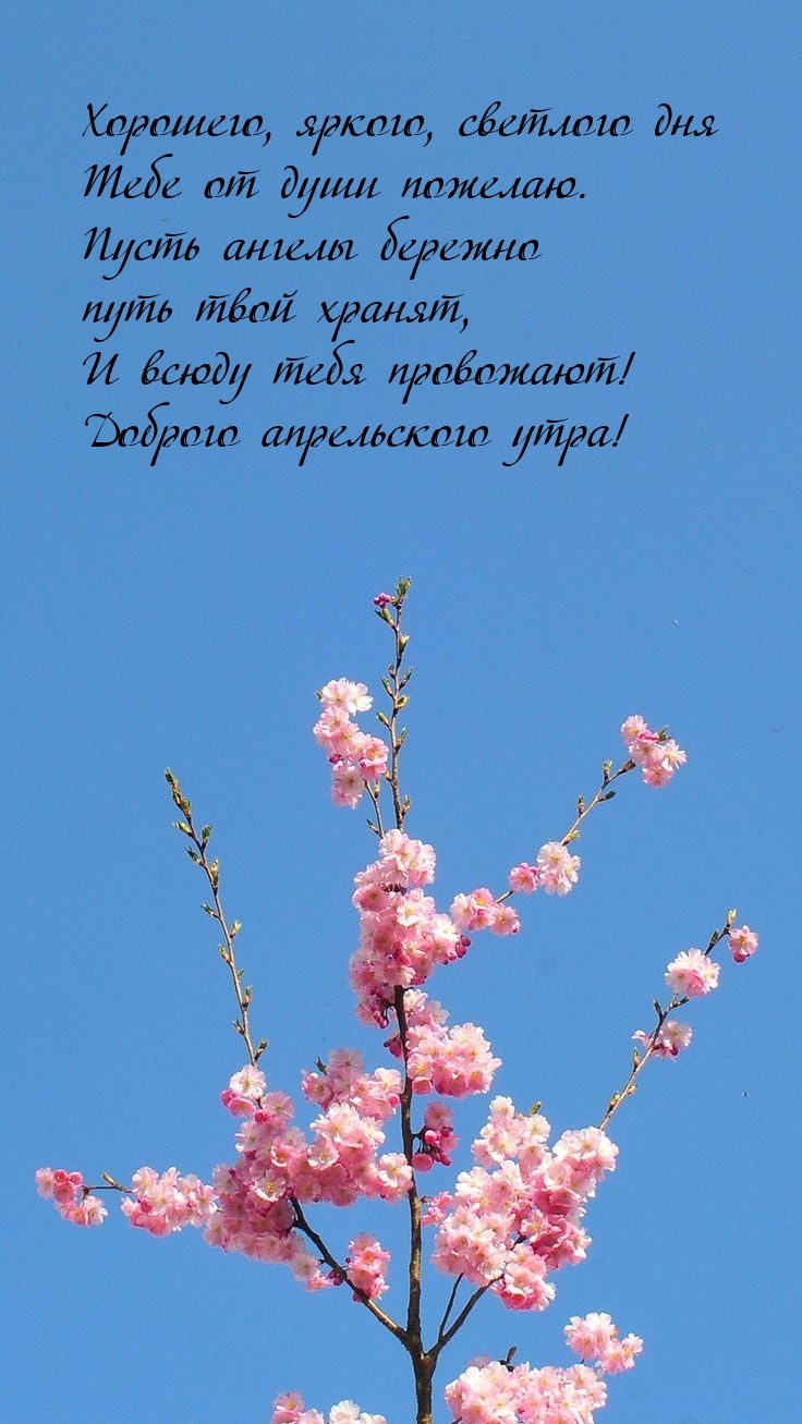 Хорошего, яркого, светлого дня тебе от души пожелаю.