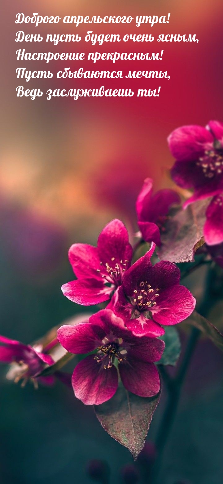 Доброго апрельского утра! День пусть будет очень ясным