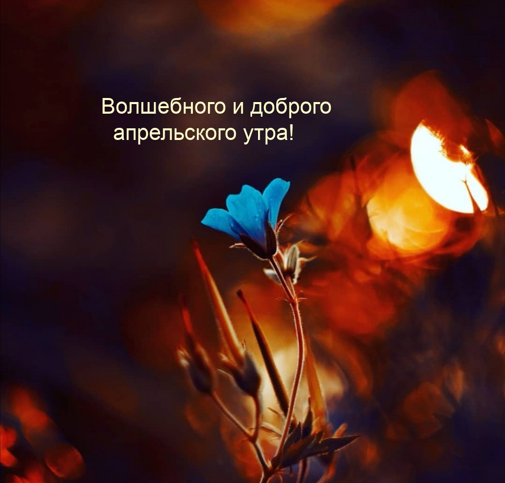Волшебного и доброго апрельского утра!