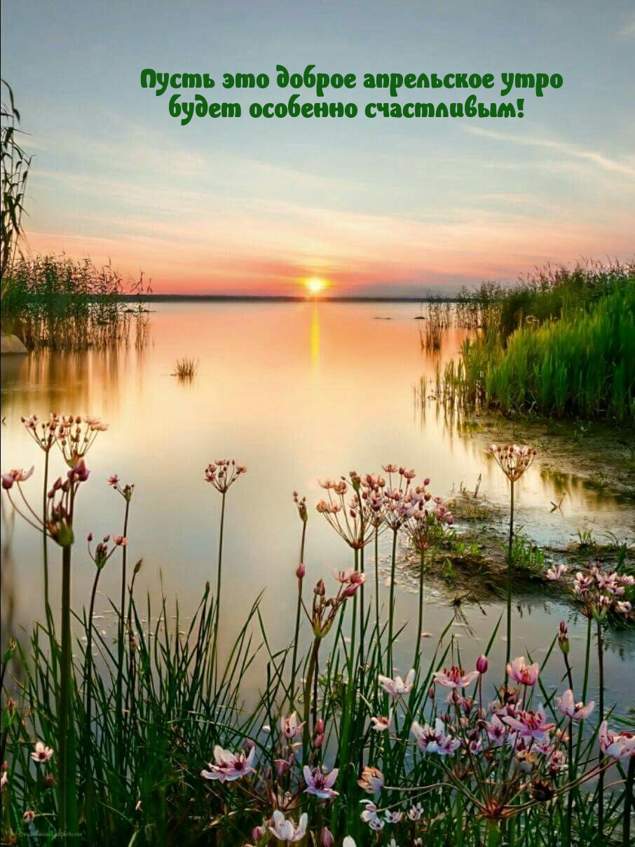 Пусть это доброе апрельское утро будет особенно счастливым! 
