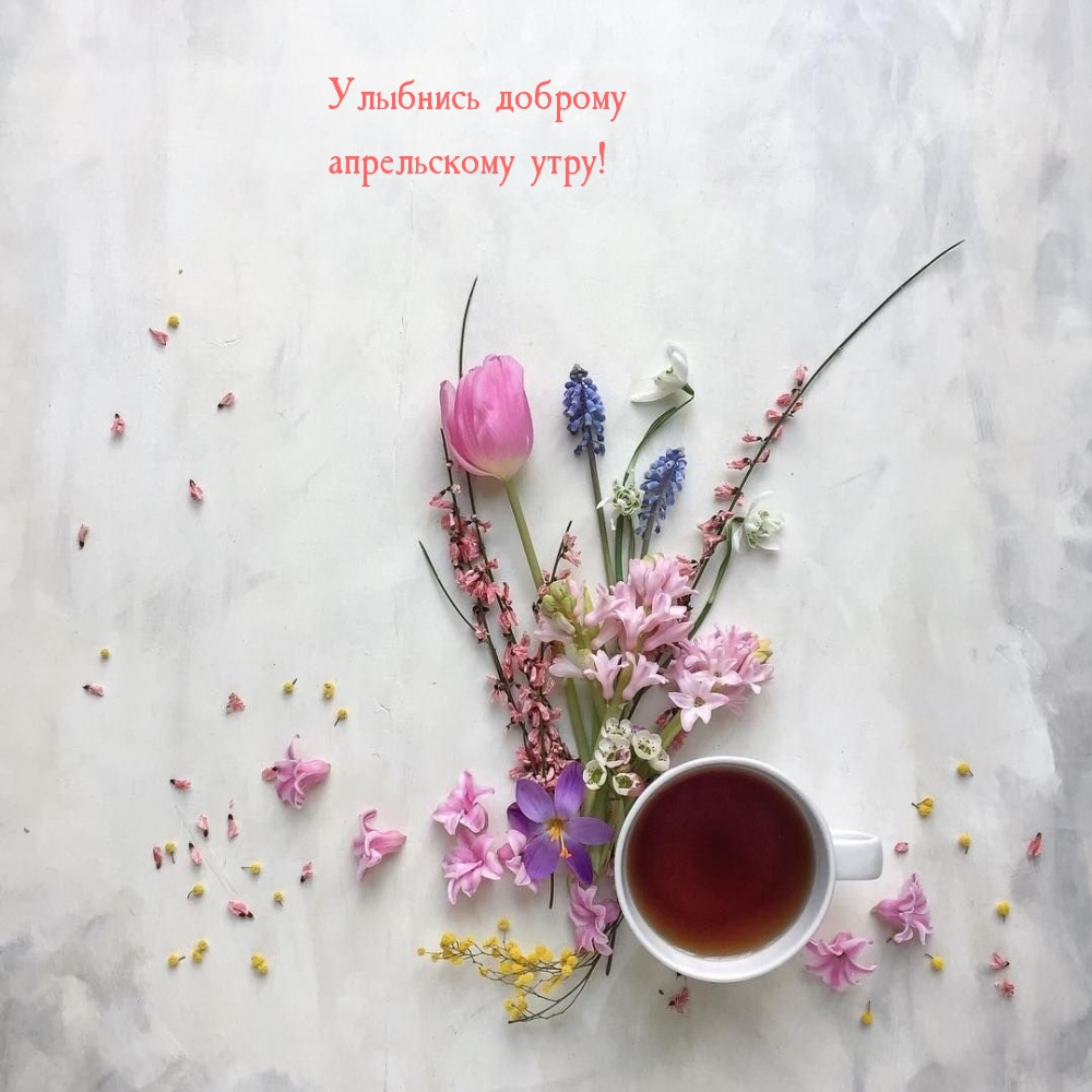 Улыбнись доброму апрельскому утру! 