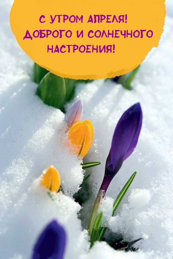 С утром апреля! Доброго и солнечного настроения!