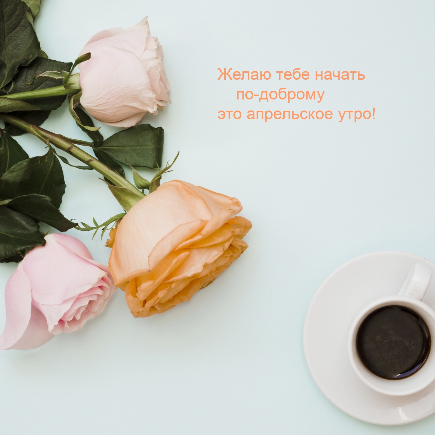 Желаю тебе начать по-доброму это апрельское утро!