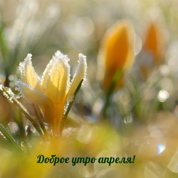 Доброе утро апреля!