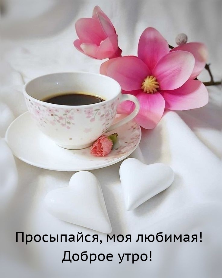 Просыпайся, моя любимая! Доброе утро! 