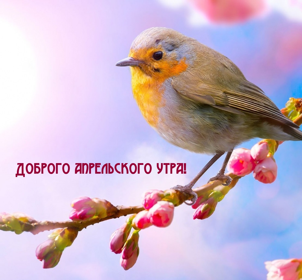 Доброго апрельского утра!