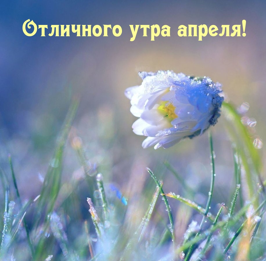 Отличного утра апреля!