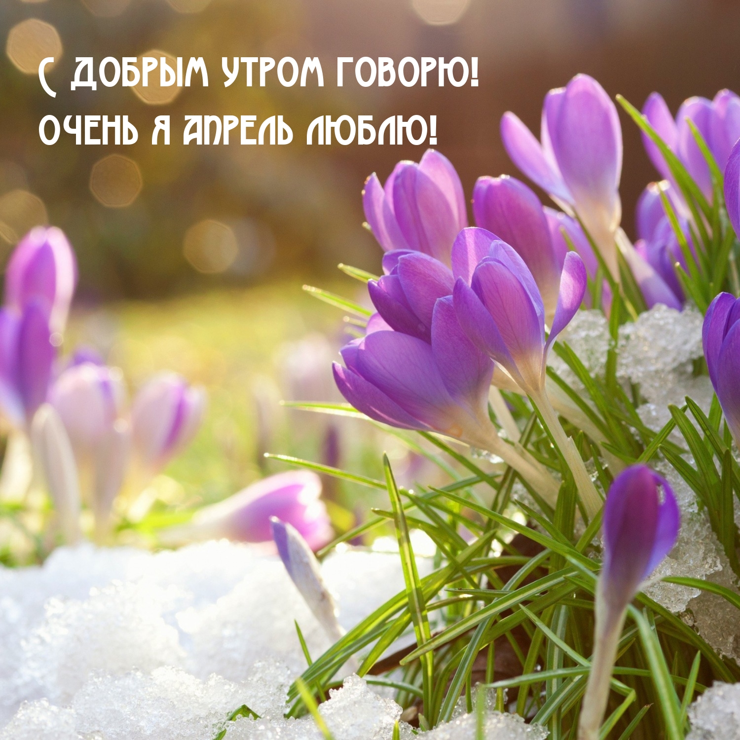 С добрым утром говорю! Очень я апрель люблю! 