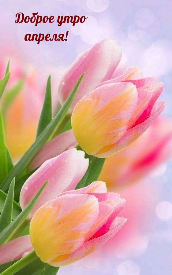 Доброе утро апреля!