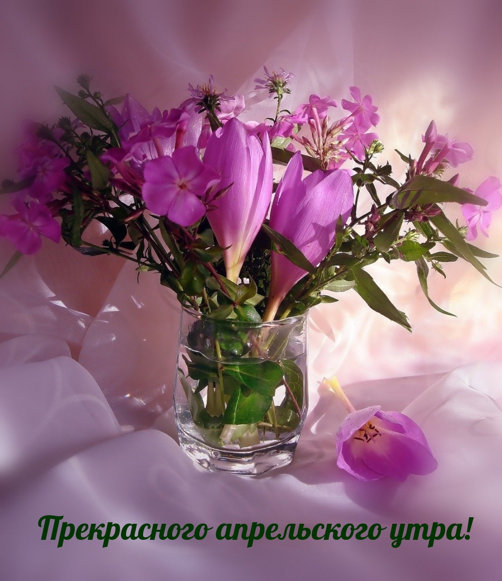 Прекрасного апрельского утра!