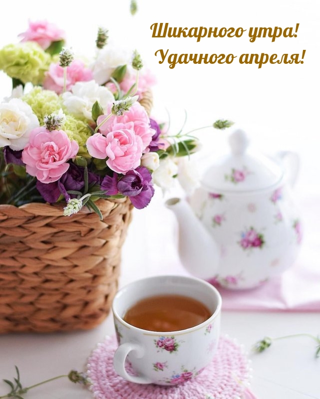 Шикарного утра! Удачного апреля!