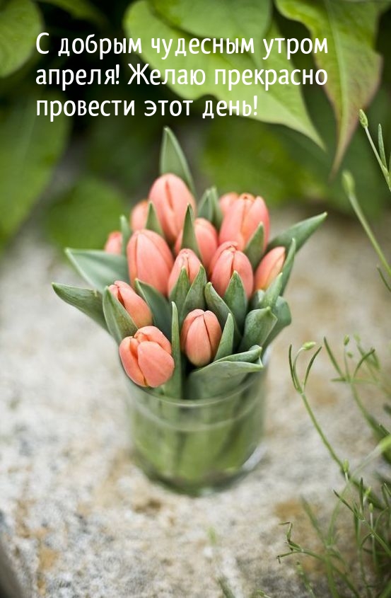 С добрым чудесным утром апреля! 